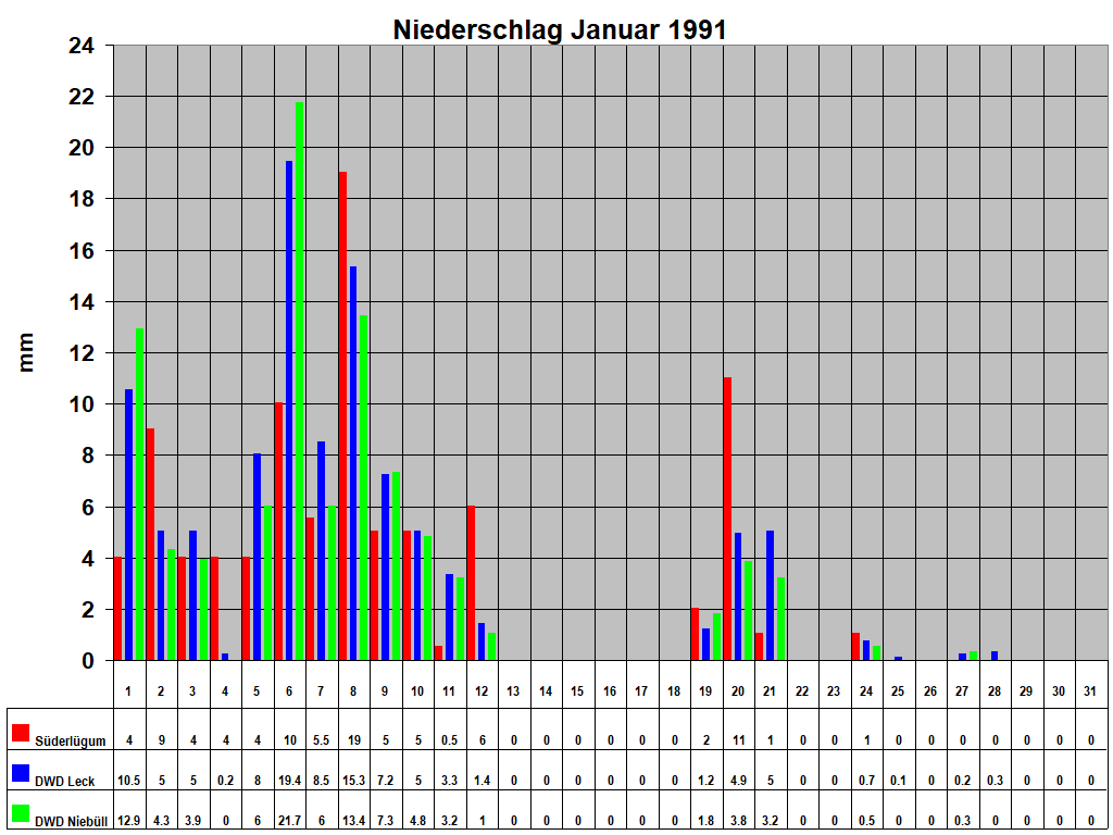 Niederschlag Januar 1991