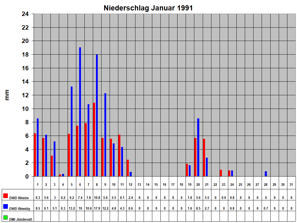 Niederschlag Januar 1991