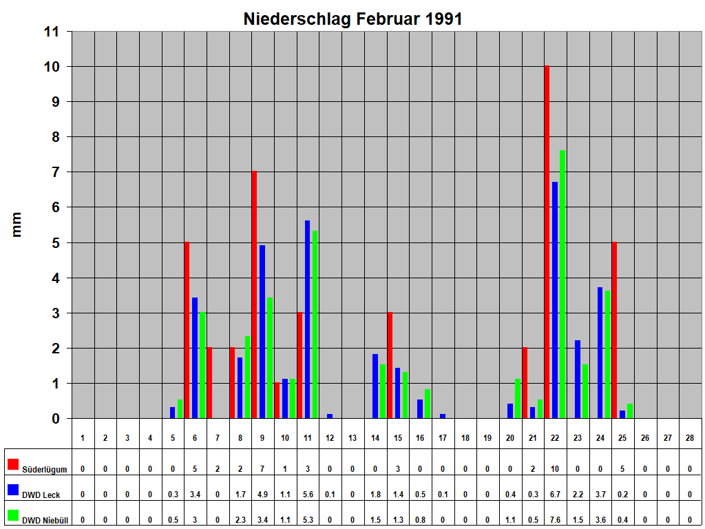 Niederschlag Februar 1991