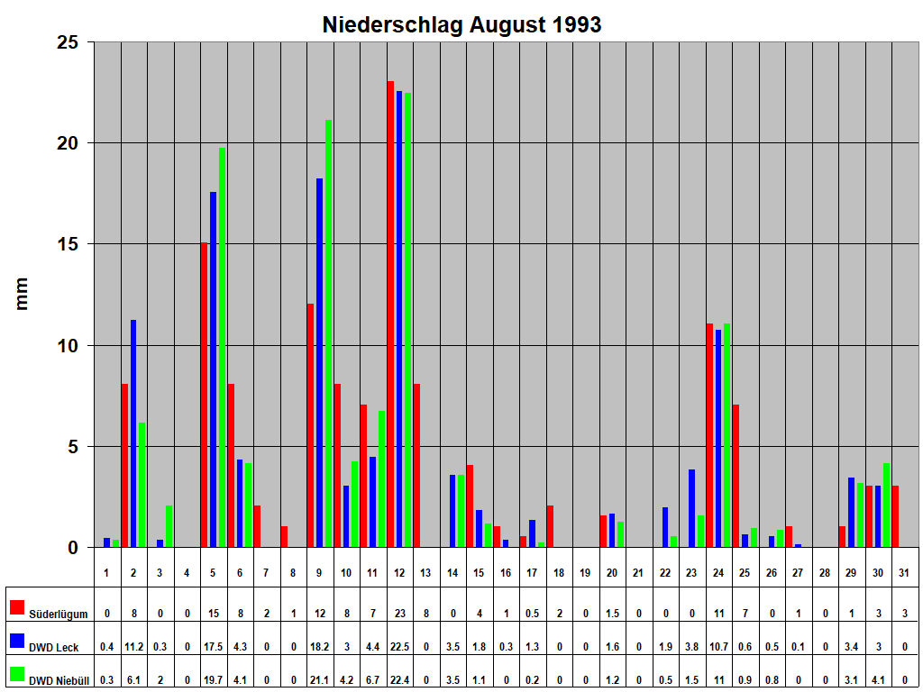 Niederschlag August 1993