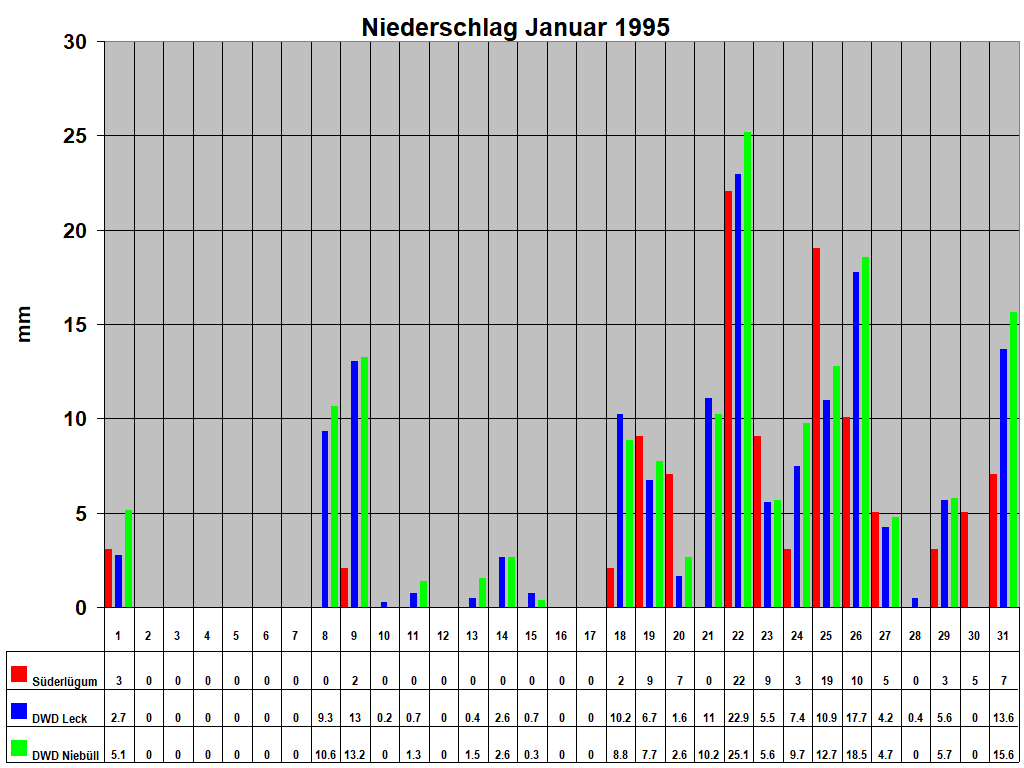 Niederschlag Januar 1995