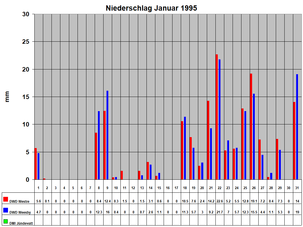 Niederschlag Januar 1995