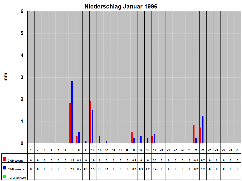Niederschlag Januar 1996