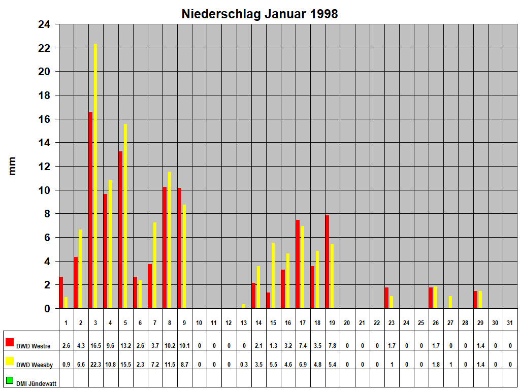Niederschlag Januar 1998