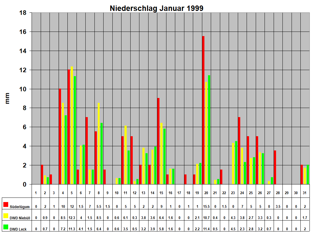 Niederschlag Januar 1999