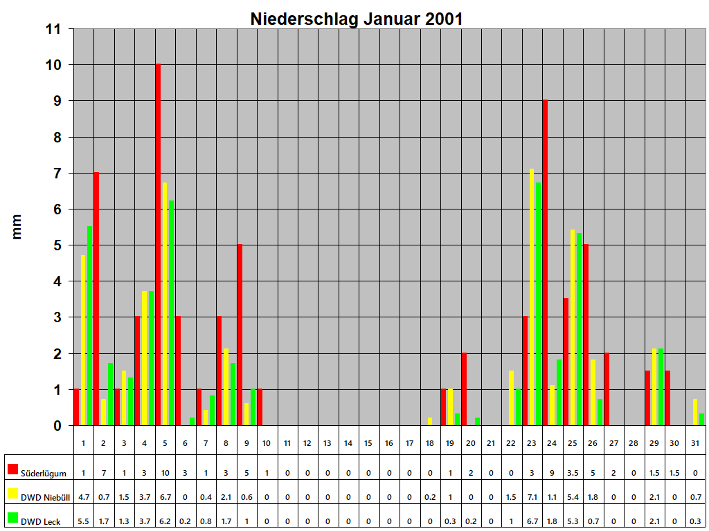 Niederschlag Januar 2001