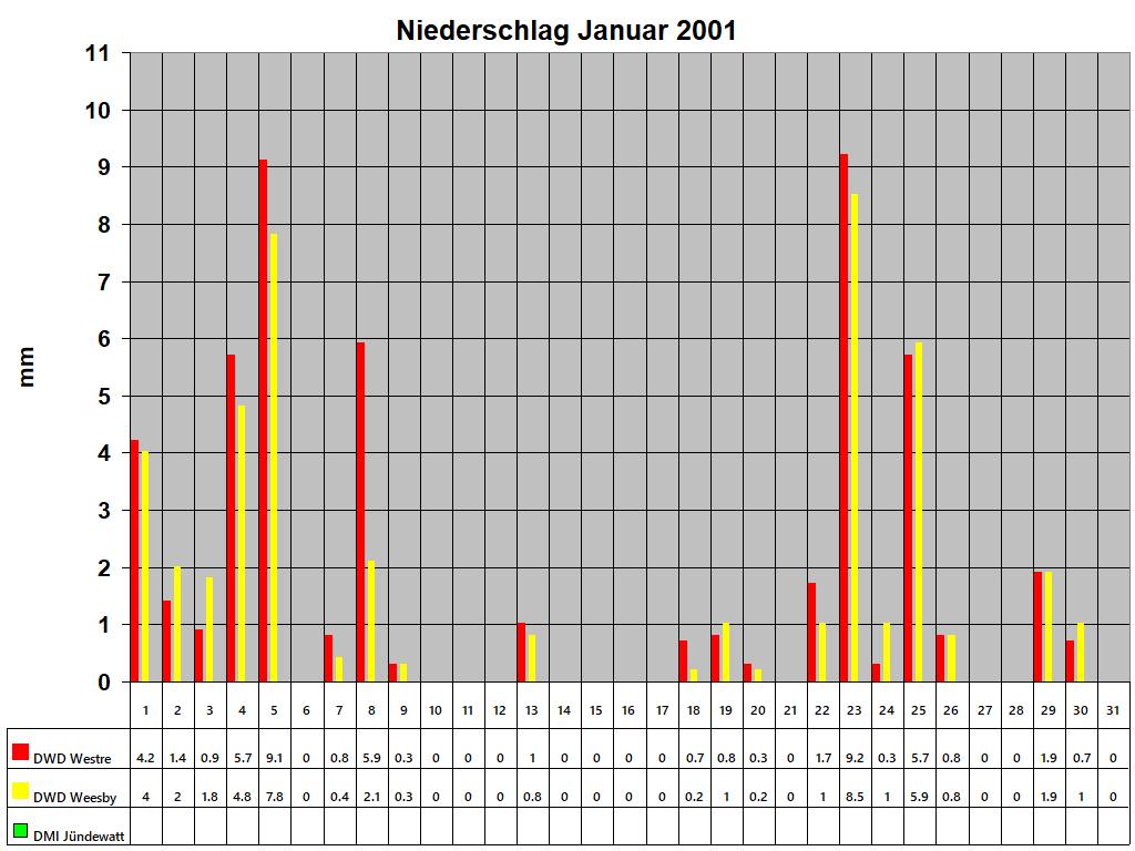 Niederschlag Januar 2001