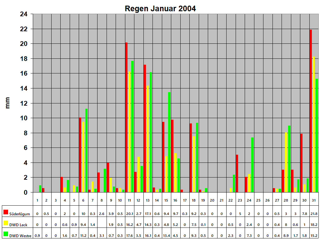 Regen Januar 2004