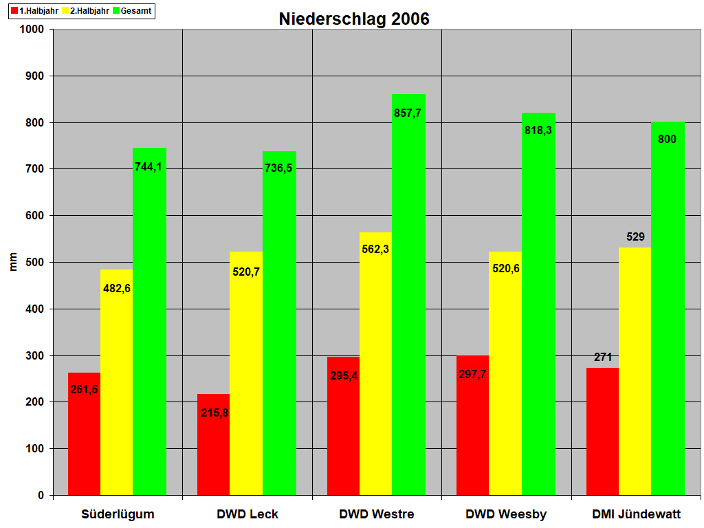 Niederschlag 2006