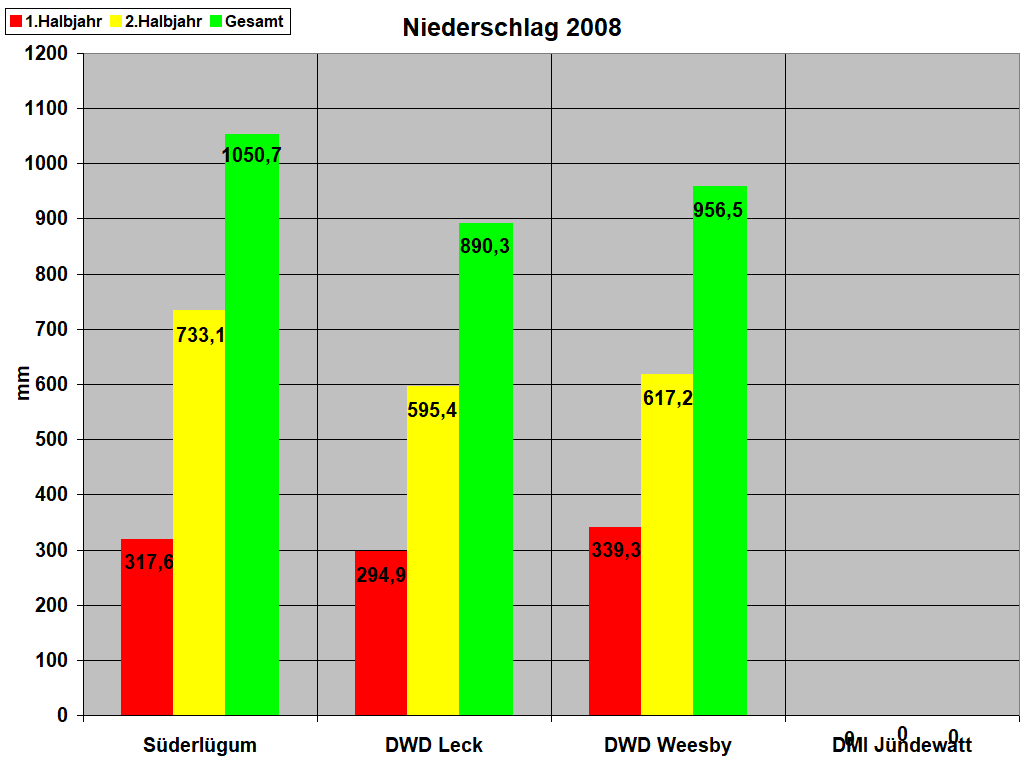 Niederschlag 2008