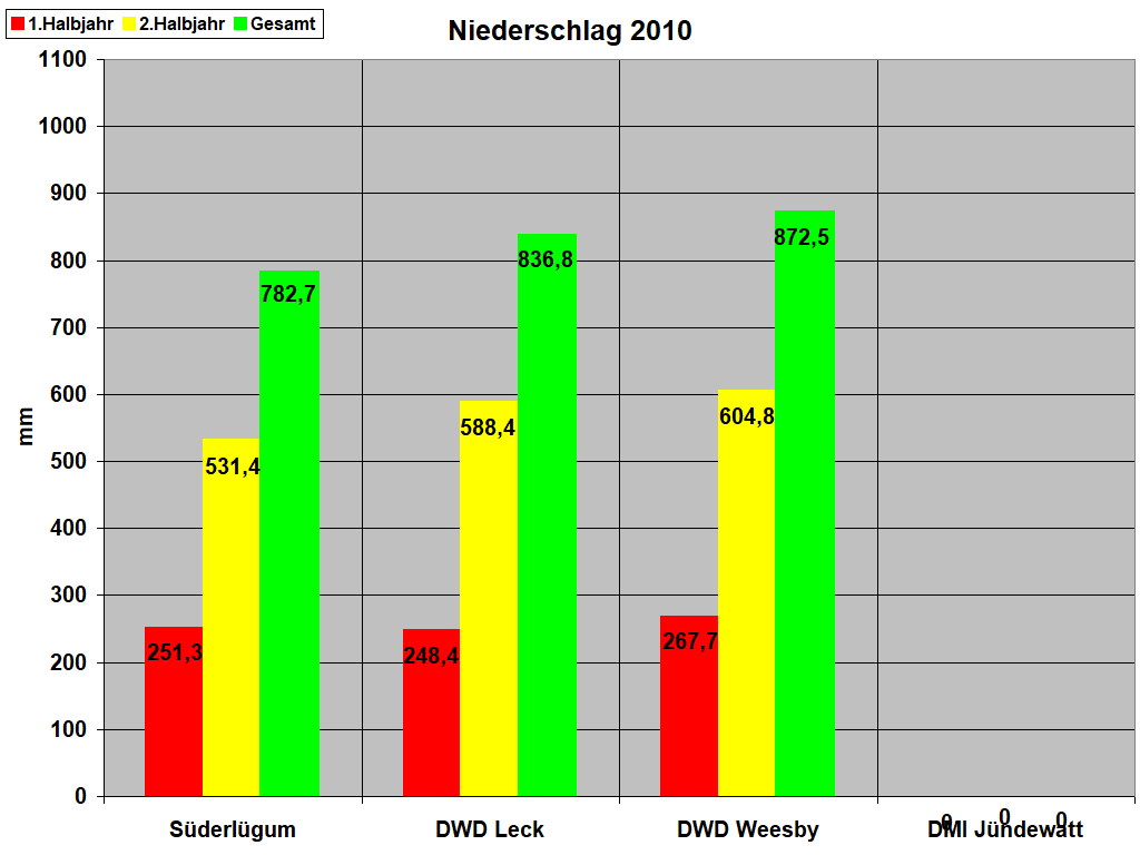 Niederschlag 2010
