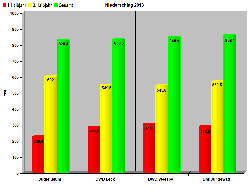 Niederschlag 2013
