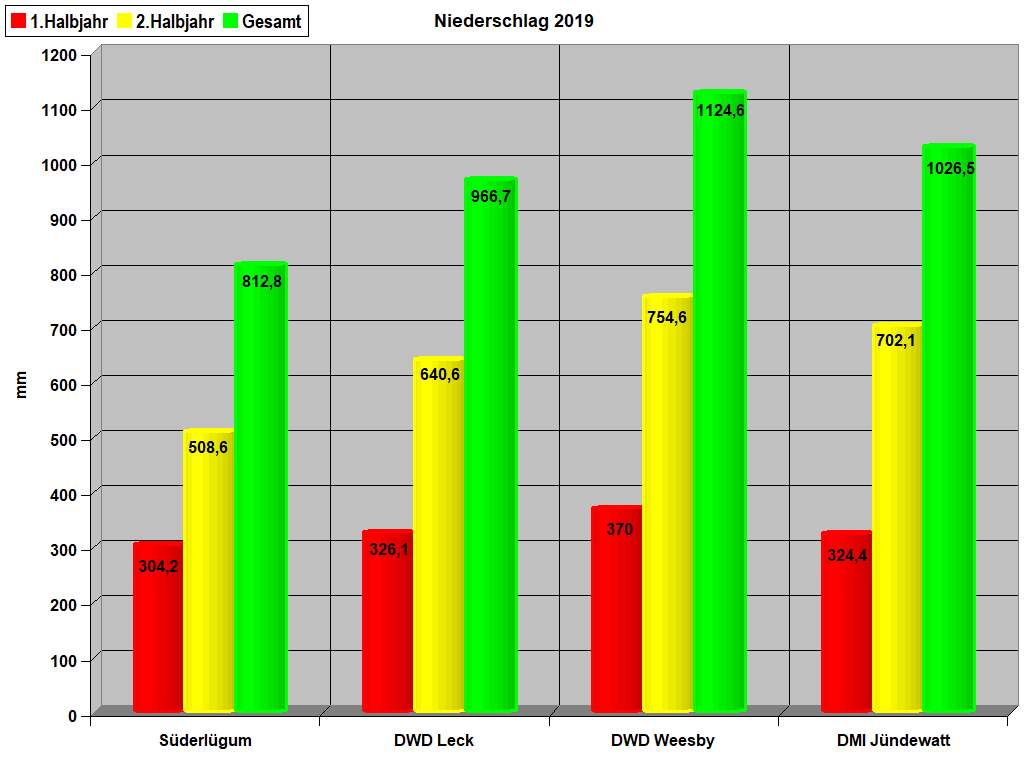 Niederschlag 2019