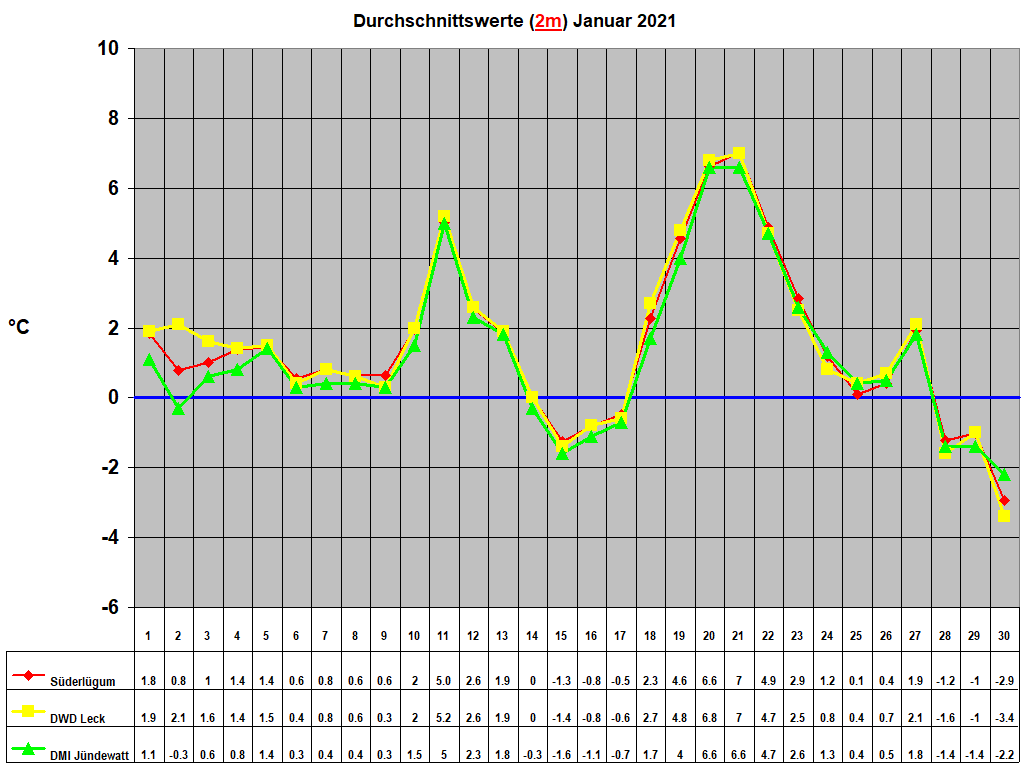 Durchschnittswerte (2m) Januar 2021