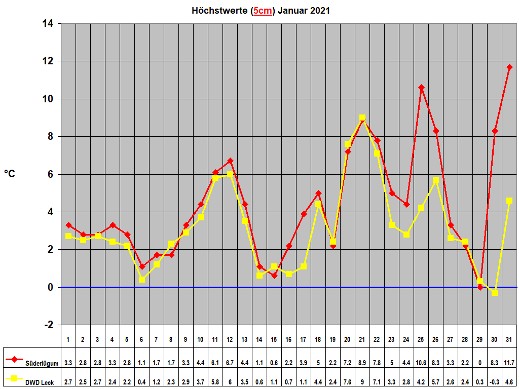H�chstwerte (5cm) Januar 2021